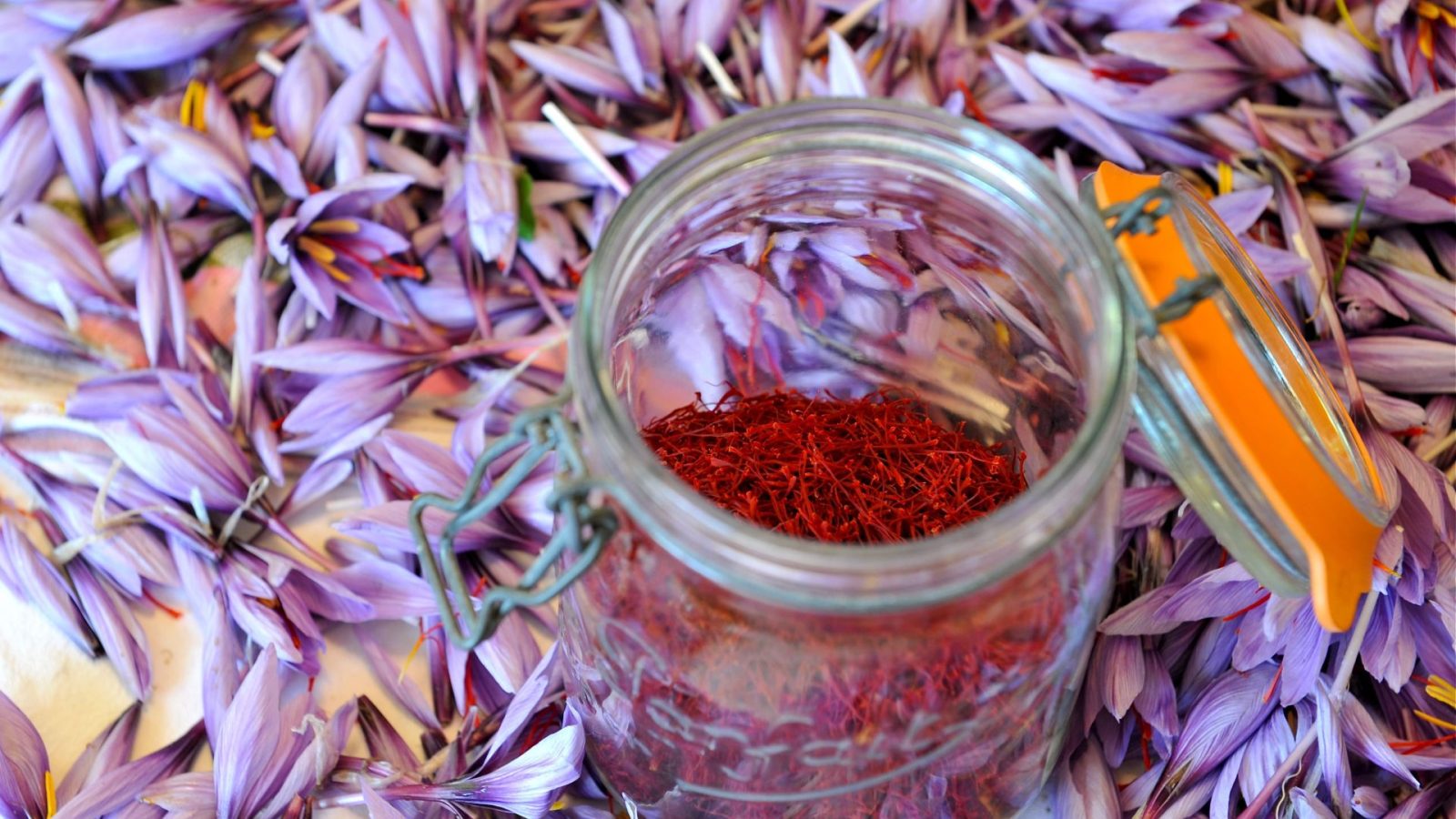 5 bonnes raisons de venir en destination Falaise - Suisse Normande : Safran de Normandie