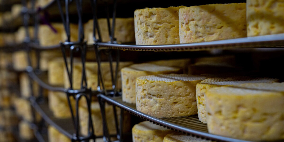 Le Village fromager de la fromagerie Graindorge à Livarot