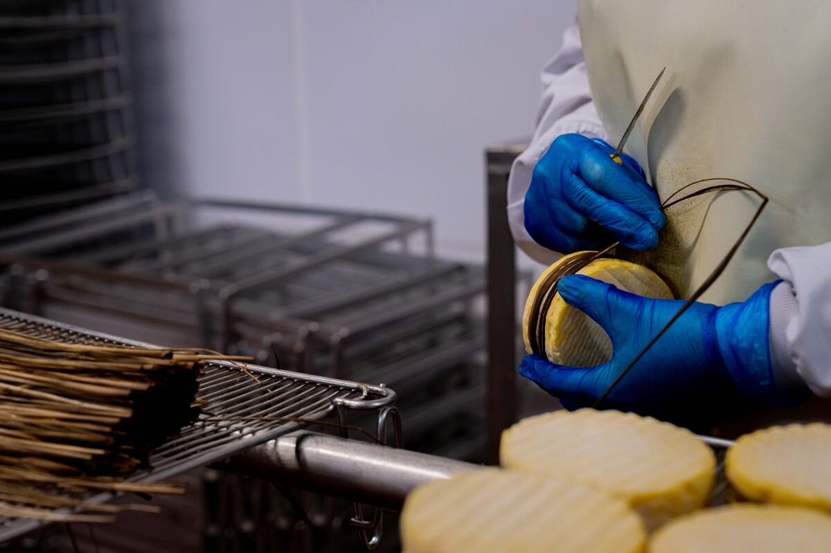 Fabrication de Livarot Fromagerie Graindorge