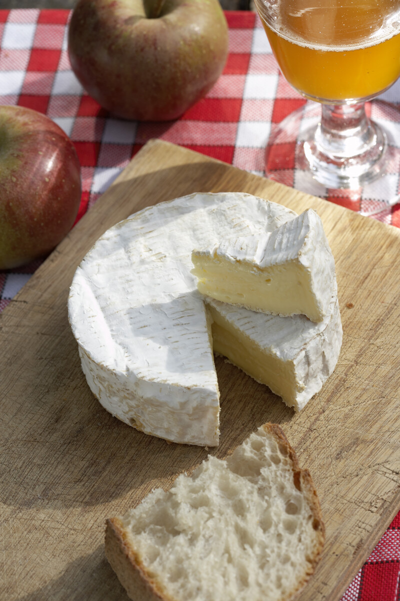 Le camembert - En savoir plus sur le camembert, origines et utilisation en  cuisine