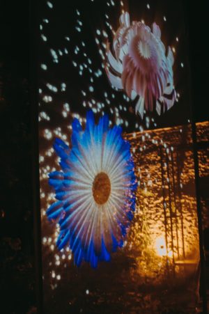 Les soirées illuminées d’été