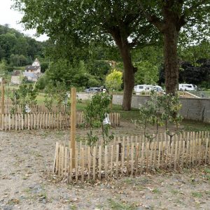 Aire Camping-Car Park de Falaise