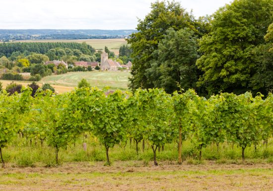 Les Arpents du Soleil
