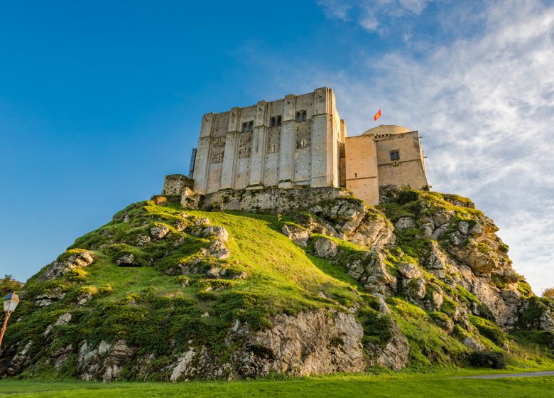 Aire Camping-Car Park de Falaise