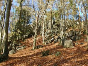 Brèche au Diable ruitercircuit