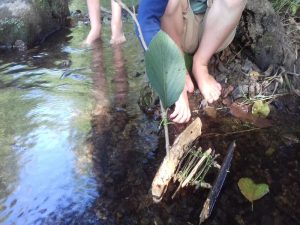 Camping La Rouvre