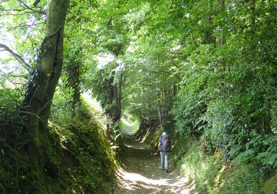 GR® de Pays Tour de la Suisse Normande (TSN)