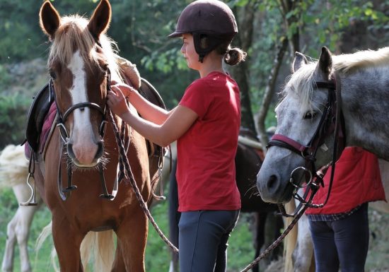 Ruitercircuit van het stenen paard