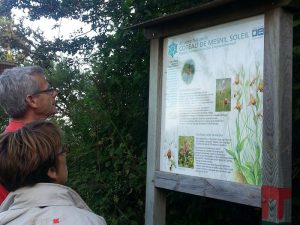 Réserve Naturelle Nationale  du Coteau de Mesnil-Soleil – Monts d’Eraines