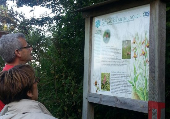 Réserve Naturelle Nationale  du Coteau de Mesnil-Soleil – Monts d’Eraines