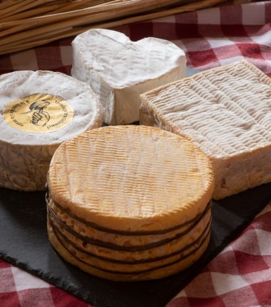 Déguster les fromages AOP de Normandie