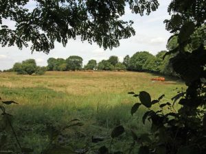 De Beneden Rivier
