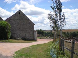 De heuvels