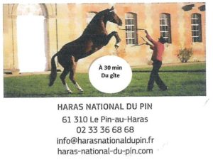 De heuvels