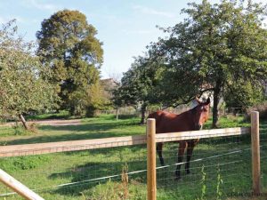 Boerderij Rouffigny