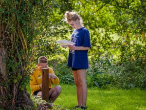 Orienteering course – Pont-d'Ouilly Loisirs