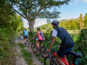 Orienteering course – Pont-d'Ouilly Loisirs