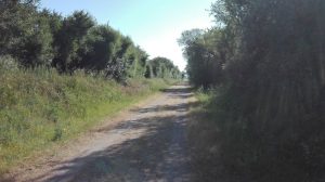 Cycle route Cliff Greenway