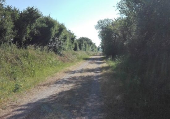 Circuit vélo Falaise Voie Verte