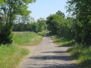 Fietstocht Falaise Saint Vigor