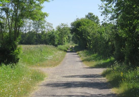 Circuit vélo Falaise Saint Vigor