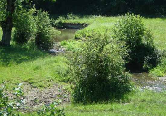 La Vallée de la Baize