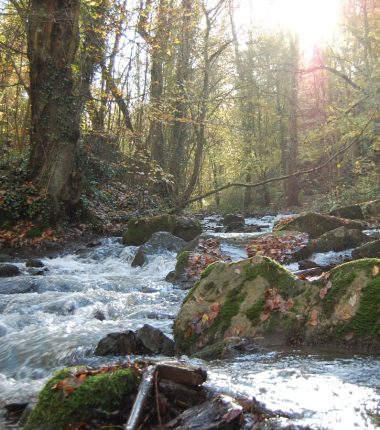 Sur les Pas de Marie Joly