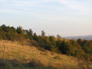 Riserva Naturale Nazionale del Coteau de Mesnil-Soleil – Monts d'Eraines