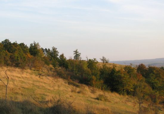 Réserve Naturelle Nationale  du Coteau de Mesnil-Soleil – Monts d’Eraines