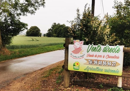 Le Cochon de Falaise