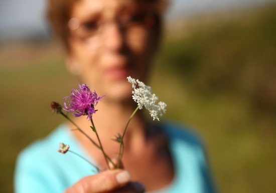 Les Orchidées