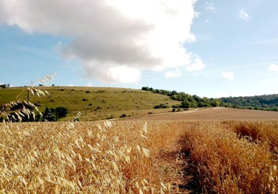 Circuit de la Vallée de l’Ante