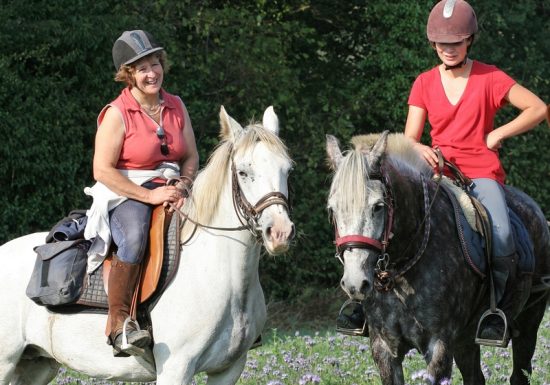 Circuito equestre del Tour des Monts d'Eraines