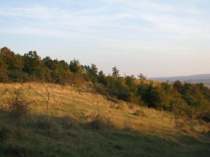 Les Terres Noires