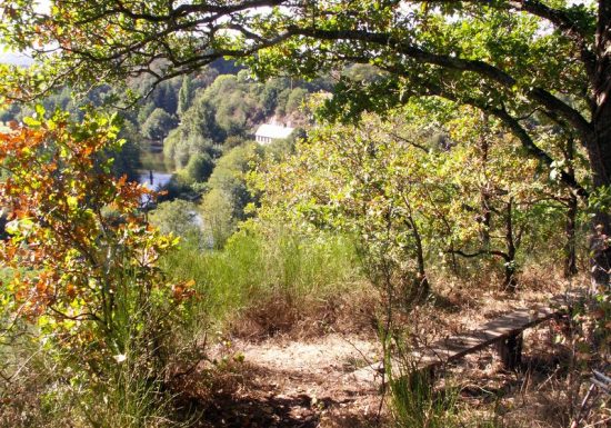 Tour en bicicleta por las montañas y los valles de Pont d'Ouilly