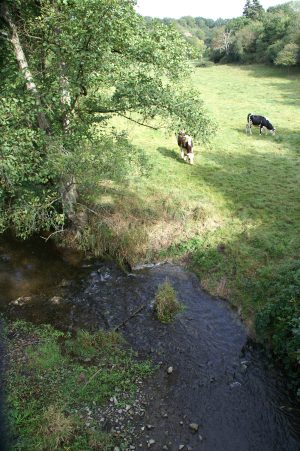 21- À la conquête de la Suisse Normande