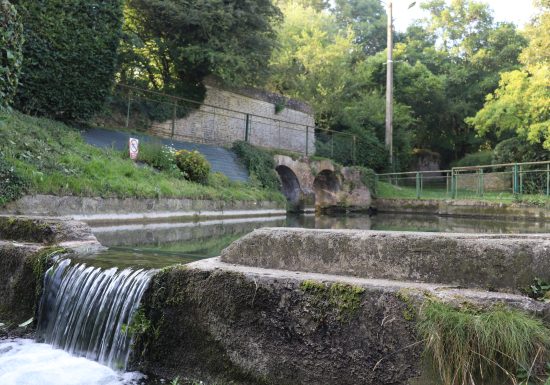 La Baronnie de Courcy