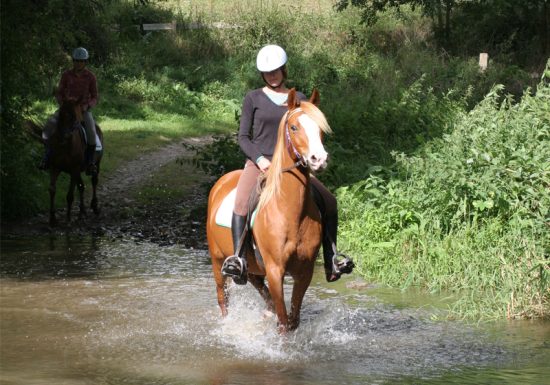 The Ride of Guillaume – Stages 7 and 8: Clécy > Falaise