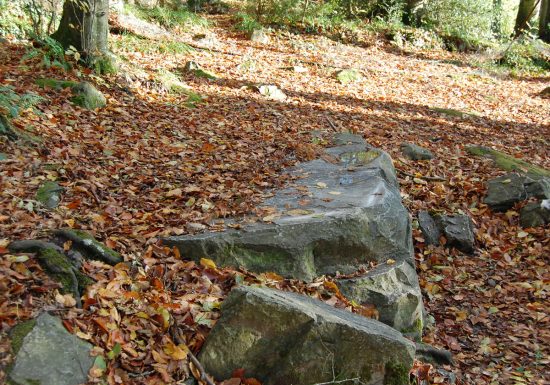 Sur les Pas de Marie Joly