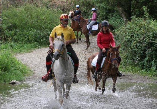 Equestrian circuit of the Roche d'Oëtre