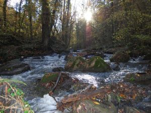 The Devil’s Breach – Tomb of Marie Joly