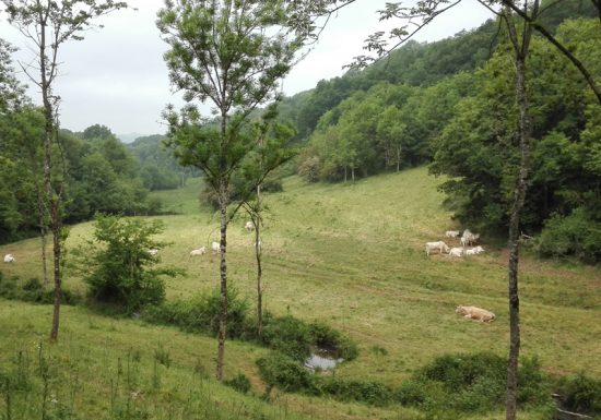 Circuito de bicicleta de montaña – Le Val la Hère