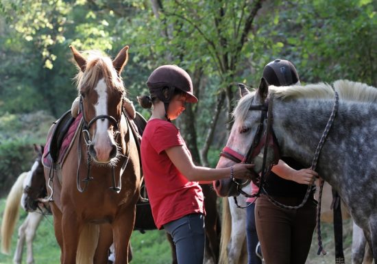 Equestrian circuit of the Baize Valley