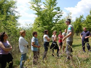 Réserve Naturelle Nationale  du Coteau de Mesnil-Soleil – Monts d’Eraines