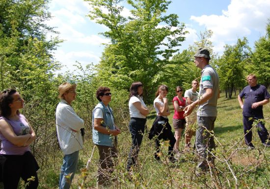Réserve Naturelle Nationale  du Coteau de Mesnil-Soleil – Monts d’Eraines