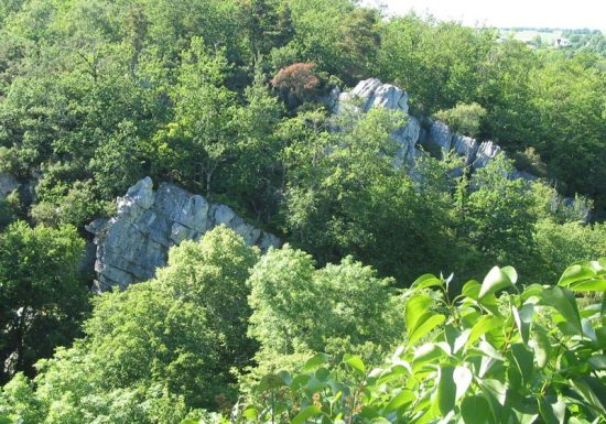 Sur les Pas de Marie Joly