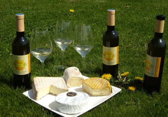 Les Arpents du Soleil