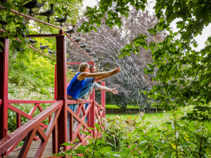 Jardins du Château de Vendeuvre