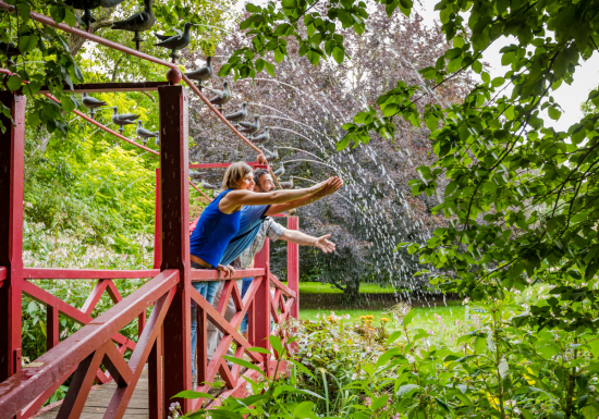 Jardins du Château de Vendeuvre