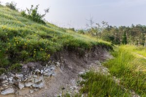 National Nature Reserve of the Coteau de Mesnil-Soleil – Monts d'Eraines